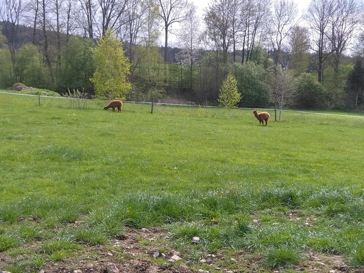 Familie Meimer Hofing Bagian luar foto